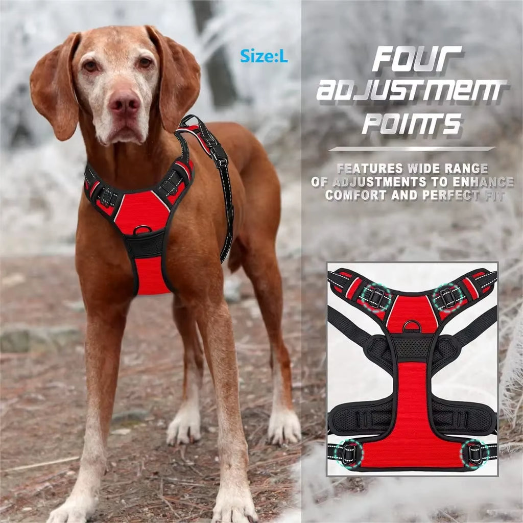 F&F Easy Pull Harness
